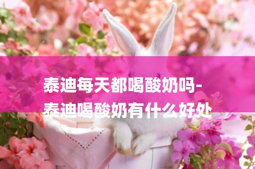 泰迪每天都喝酸奶嗎-
泰迪喝酸奶有什么好處