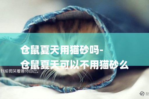倉鼠夏天用貓砂嗎-
倉鼠夏天可以不用貓砂么