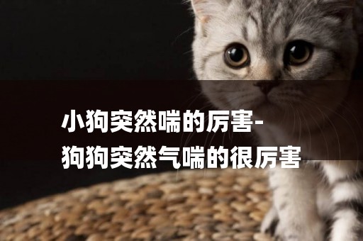 小狗突然喘的厲害-
狗狗突然氣喘的很厲害