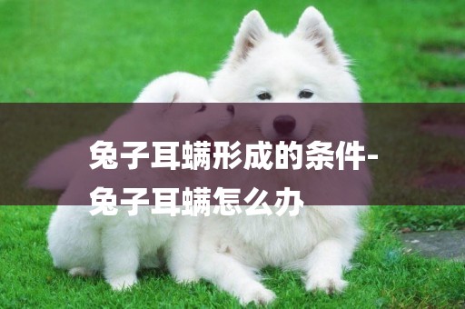 兔子耳螨形成的條件-
兔子耳螨怎么辦