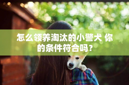 怎么領養淘汰的小警犬 你的條件符合嗎？
