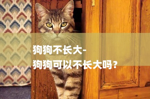 狗狗不長大-
狗狗可以不長大嗎？