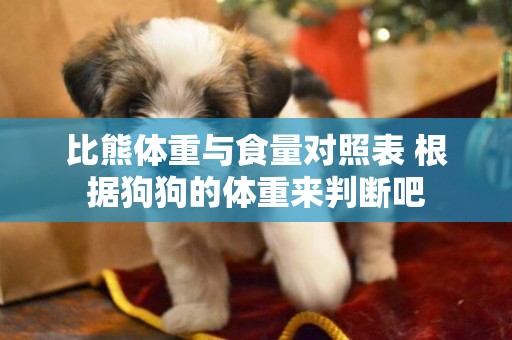 比熊體重與食量對照表 根據狗狗的體重來判斷吧