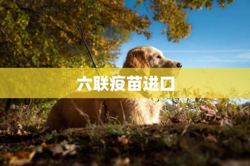 六聯疫苗進口