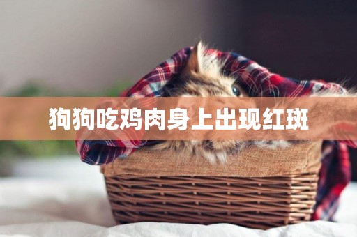 狗狗吃雞肉身上出現紅斑
