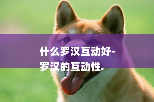什么羅漢互動好-
羅漢的互動性.