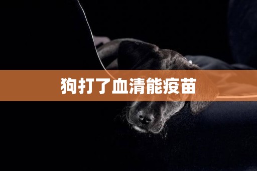 狗打了血清能疫苗