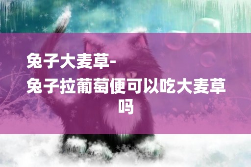 兔子大麥草-
兔子拉葡萄便可以吃大麥草嗎