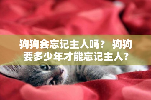 狗狗會忘記主人嗎？ 狗狗要多少年才能忘記主人？