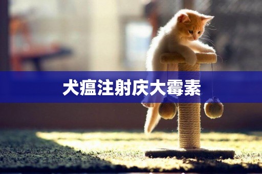 犬瘟注射慶大霉素