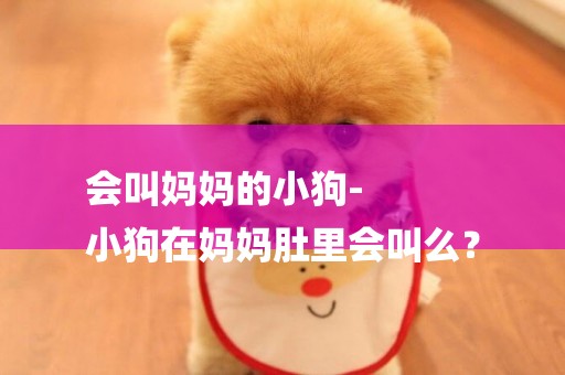 會叫媽媽的小狗-
小狗在媽媽肚里會叫么？