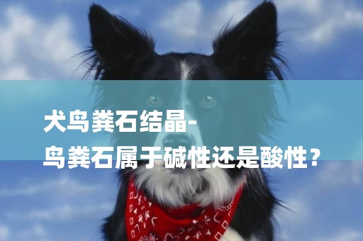 犬鳥糞石結晶-
鳥糞石屬于堿性還是酸性？