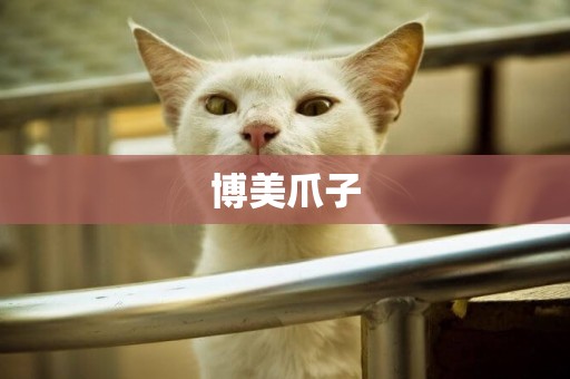 博美爪子