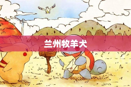 蘭州牧羊犬