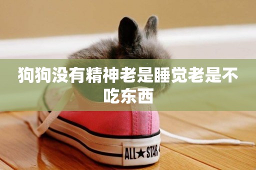 狗狗沒有精神老是睡覺老是不吃東西