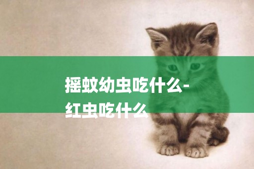 搖蚊幼蟲吃什么-
紅蟲吃什么