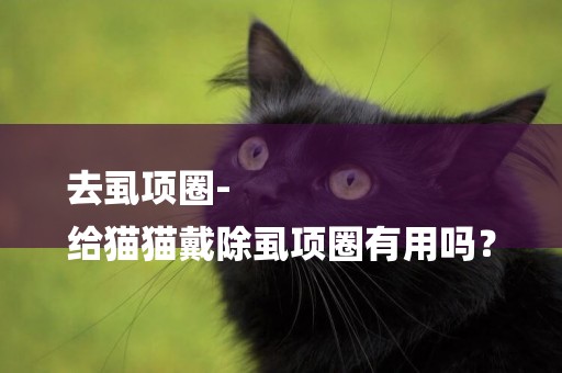 去虱項圈-
給貓貓戴除虱項圈有用嗎？