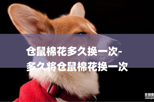 倉鼠棉花多久換一次-
多久將倉鼠棉花換一次