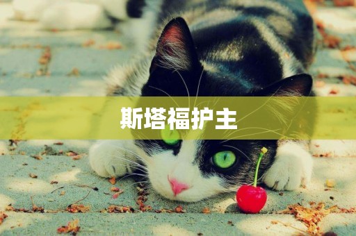 斯塔福護主