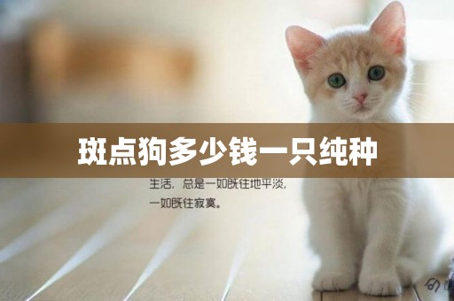 斑點狗多少錢一只純種