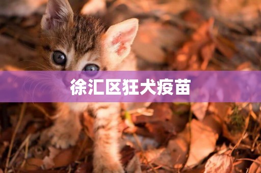 徐匯區狂犬疫苗