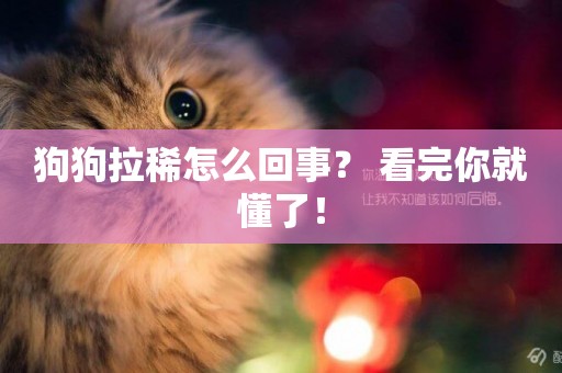 狗狗拉稀怎么回事？ 看完你就懂了！