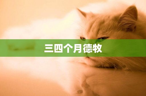 三四個月德牧