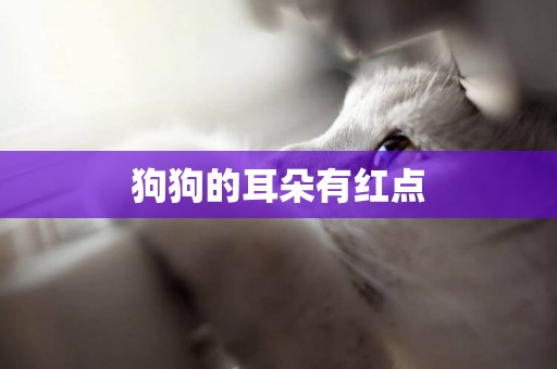 狗狗的耳朵有紅點