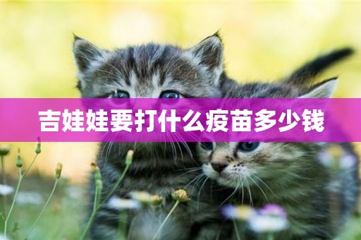 吉娃娃要打什么疫苗多少錢