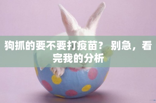 狗抓的要不要打疫苗？ 別急，看完我的分析