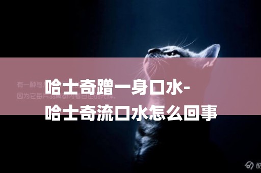 哈士奇蹭一身口水-
哈士奇流口水怎么回事