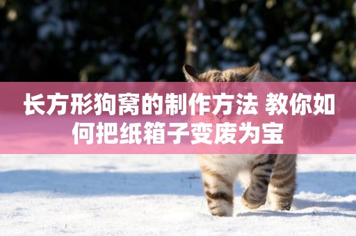 長方形狗窩的制作方法 教你如何把紙箱子變廢為寶