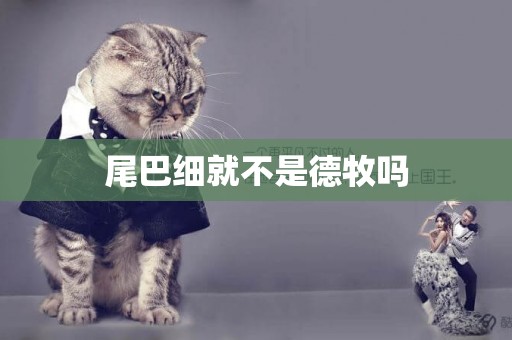 尾巴細就不是德牧嗎