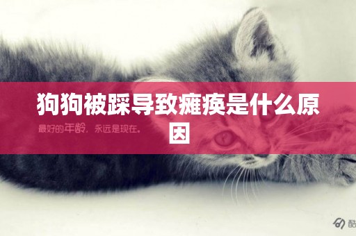 狗狗被踩導致癱瘓是什么原因