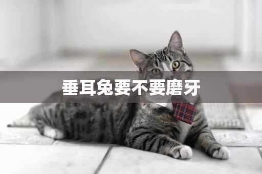 垂耳兔要不要磨牙
