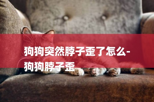 狗狗突然脖子歪了怎么-
狗狗脖子歪