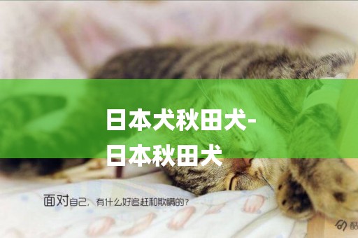 日本犬秋田犬-
日本秋田犬