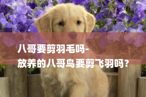 八哥要剪羽毛嗎-
放養的八哥鳥要剪飛羽嗎？