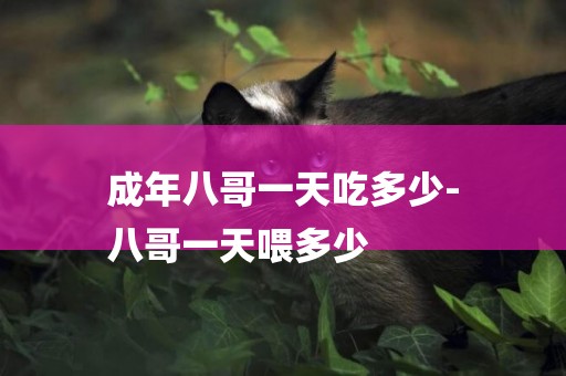 成年八哥一天吃多少-
八哥一天喂多少