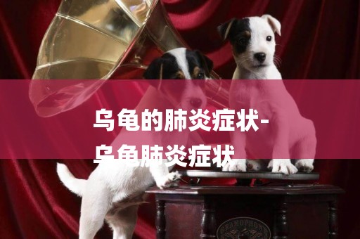 烏龜的肺炎癥狀-
烏龜肺炎癥狀