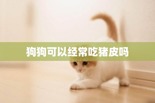 狗狗可以經常吃豬皮嗎