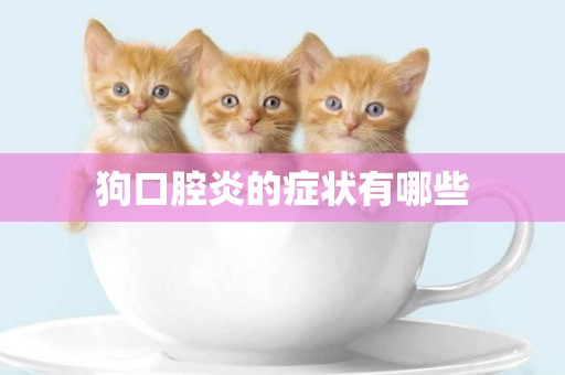 狗口腔炎的癥狀有哪些