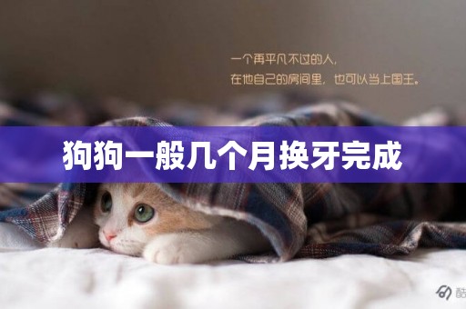 狗狗一般幾個月換牙完成