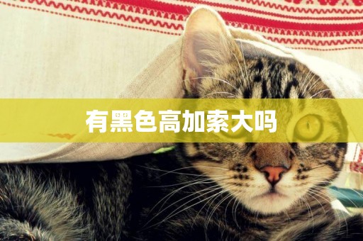 有黑色高加索大嗎