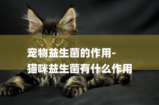 寵物益生菌的作用-
貓咪益生菌有什么作用