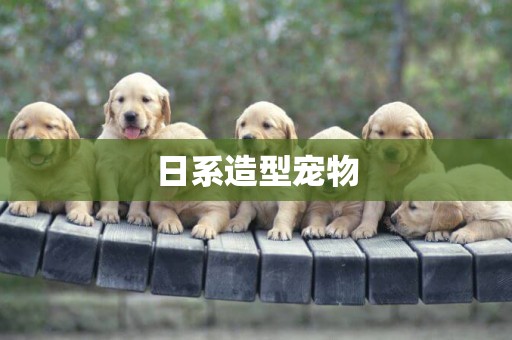 日系造型寵物