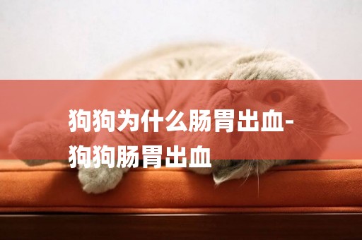 狗狗為什么腸胃出血-
狗狗腸胃出血