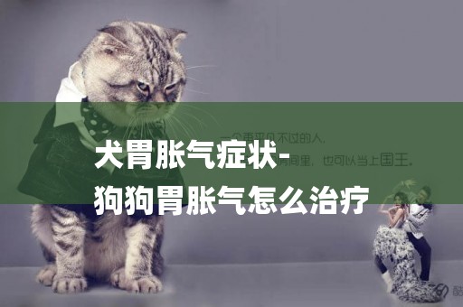 犬胃脹氣癥狀-
狗狗胃脹氣怎么治療