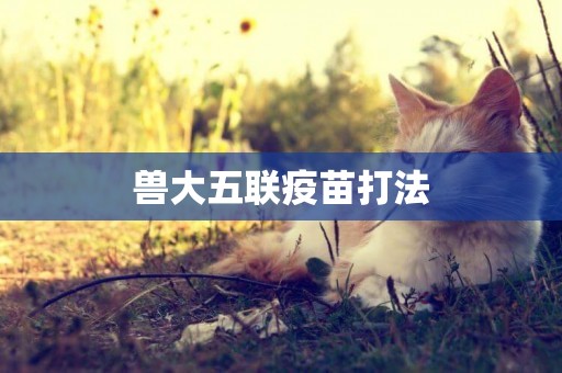 獸大五聯疫苗打法