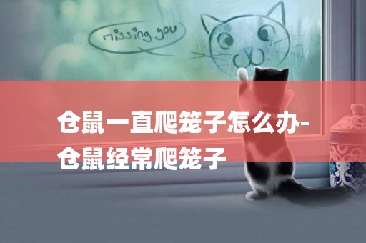 倉鼠一直爬籠子怎么辦-
倉鼠經常爬籠子